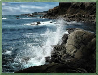 Northern Sonoma Coastline.